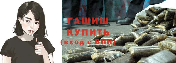 молекула духа Богородицк