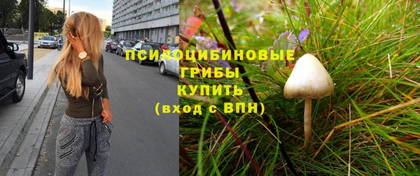 молекула духа Богородицк