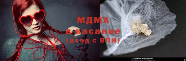 молекула духа Богородицк