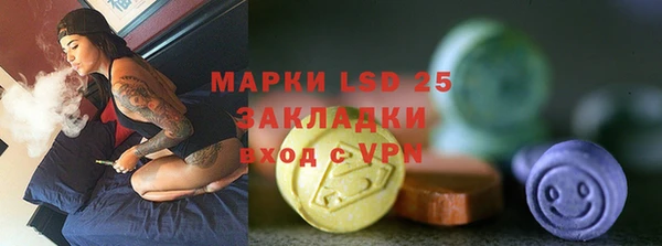 молекула духа Богородицк