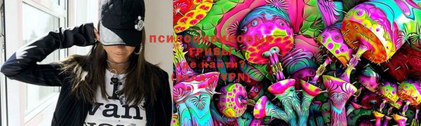 молекула духа Богородицк