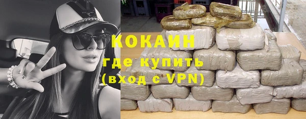 молекула духа Богородицк