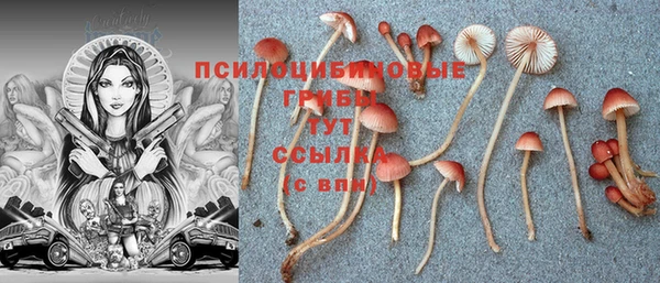 меф VHQ Богданович