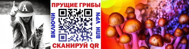 Псилоцибиновые грибы ЛСД Камышлов