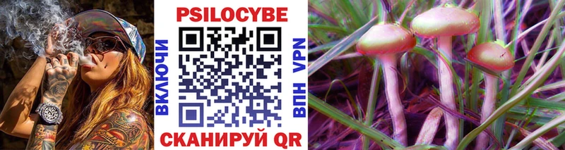 Купить закладки  Камышлов  Псилоцибиновые грибы GOLDEN TEACHER 